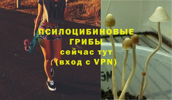 гашиш Михайлов