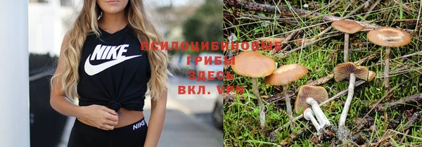 гидропоника Михайловка