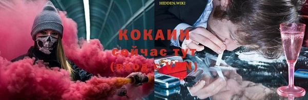 гидропоника Михайловка